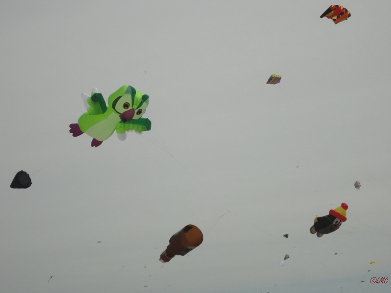 Fanoe_2013_028