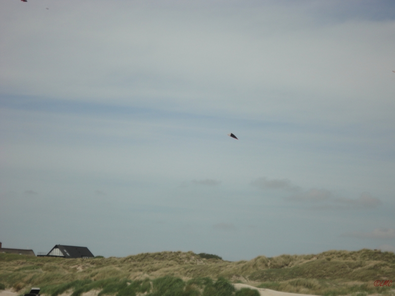 Fanoe_2013_029