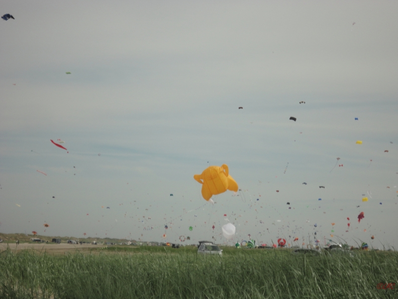 Fanoe_2013_033