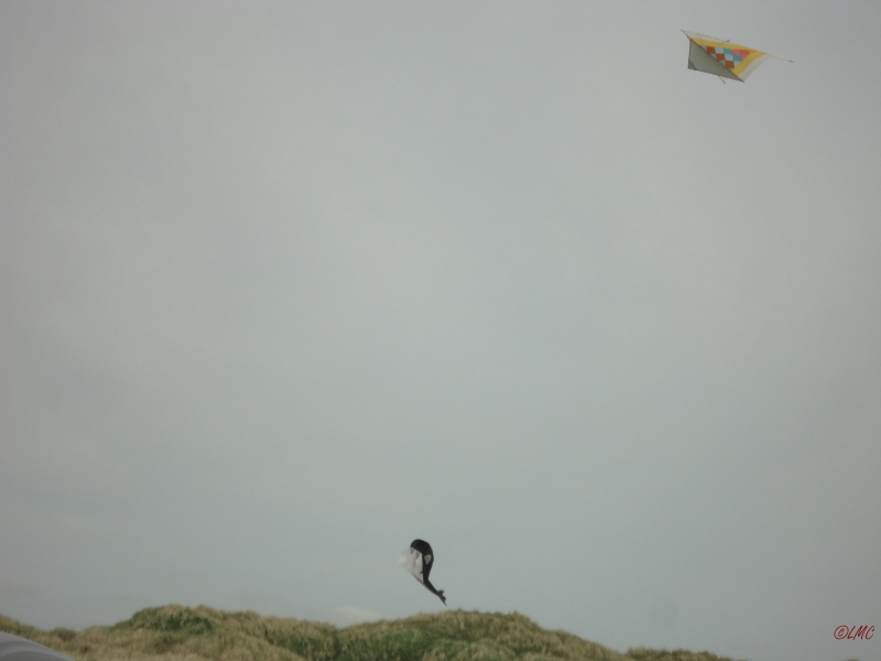 Fanoe_2013_035