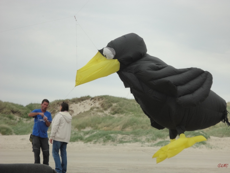 Fanoe_2013_038