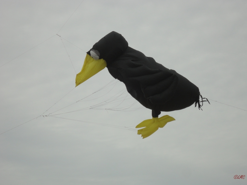 Fanoe_2013_039