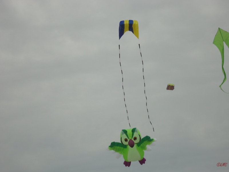 Fanoe_2013_041