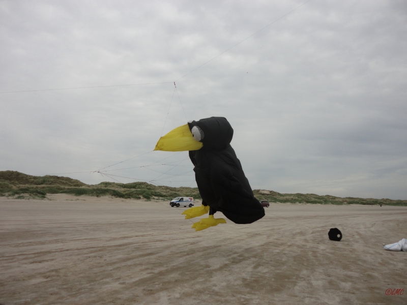 Fanoe_2013_042