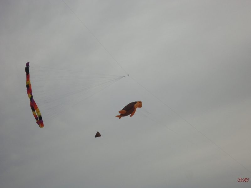Fanoe_2013_055