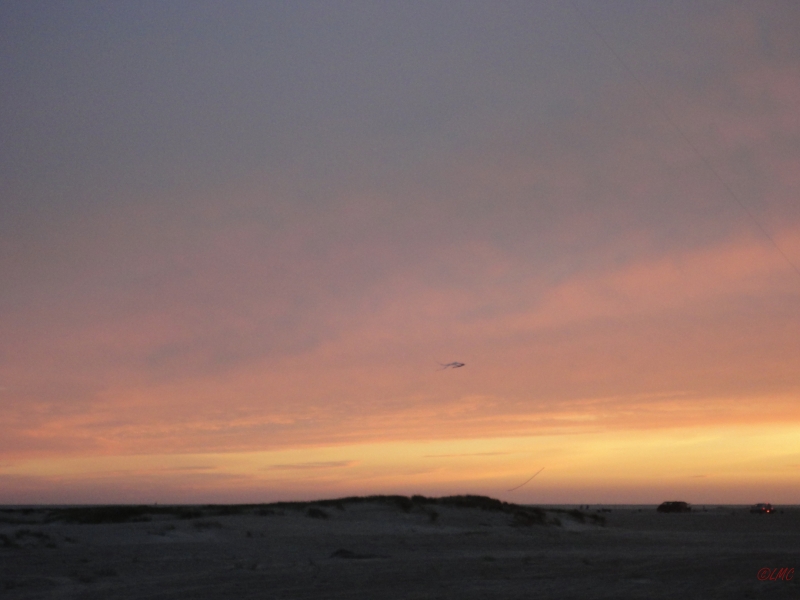 Fanoe_2013_057
