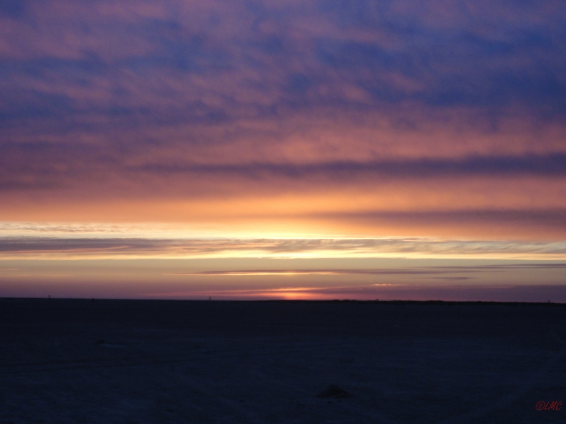 Fanoe_2013_058
