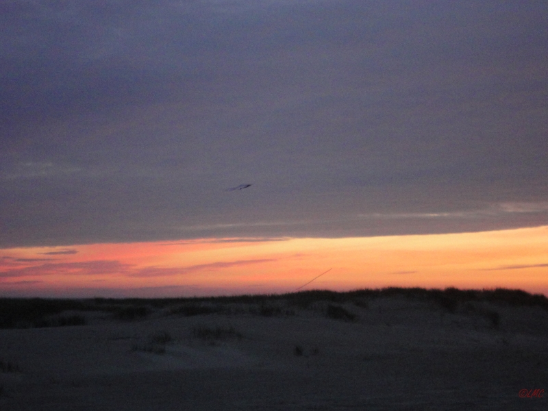 Fanoe_2013_060