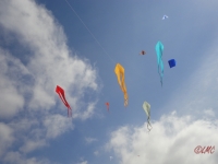 Fanoe_2013_010
