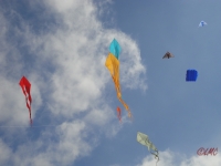 Fanoe_2013_012