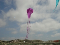 Fanoe_2013_017