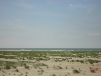 Fanoe_2013_019