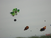 Fanoe_2013_021
