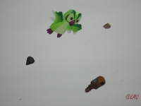 Fanoe_2013_024