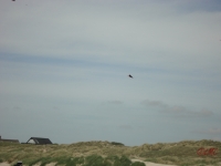Fanoe_2013_029