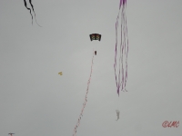 Fanoe_2013_032
