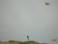 Fanoe_2013_035
