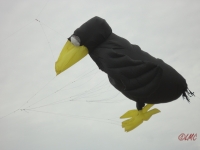 Fanoe_2013_037