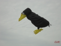 Fanoe_2013_039