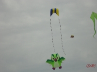 Fanoe_2013_041