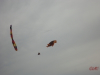 Fanoe_2013_055