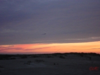 Fanoe_2013_060