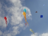 Fanoe_2013_012