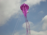 Fanoe_2013_015