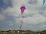 Fanoe_2013_017