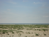 Fanoe_2013_019