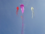 Fanoe_2013_020