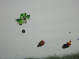 Fanoe_2013_021