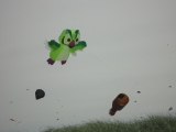 Fanoe_2013_023