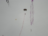 Fanoe_2013_032