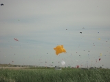 Fanoe_2013_033