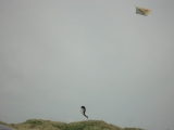 Fanoe_2013_035