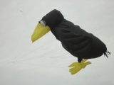 Fanoe_2013_037