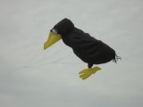 Fanoe_2013_039