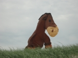 Fanoe_2013_040