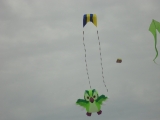Fanoe_2013_041