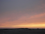 Fanoe_2013_057