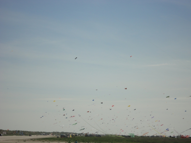Fanoe_2013_065