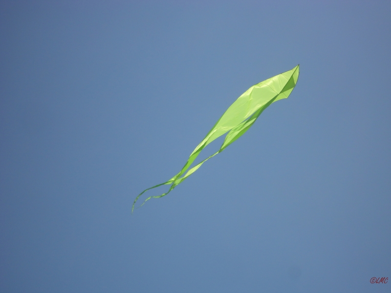 Fanoe_2013_066
