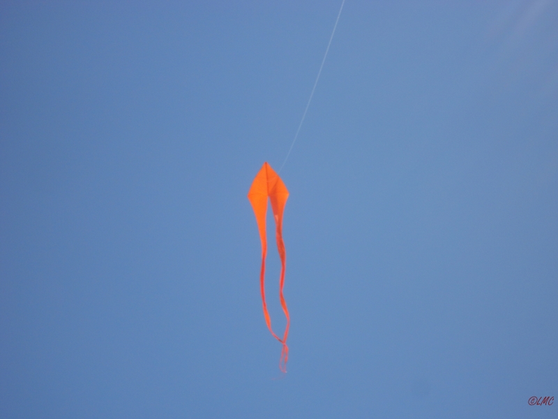 Fanoe_2013_067