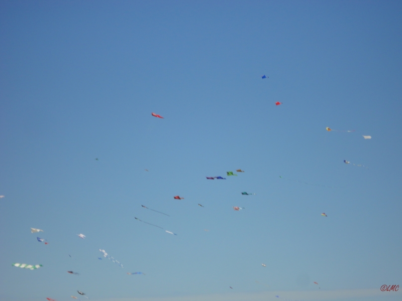 Fanoe_2013_071