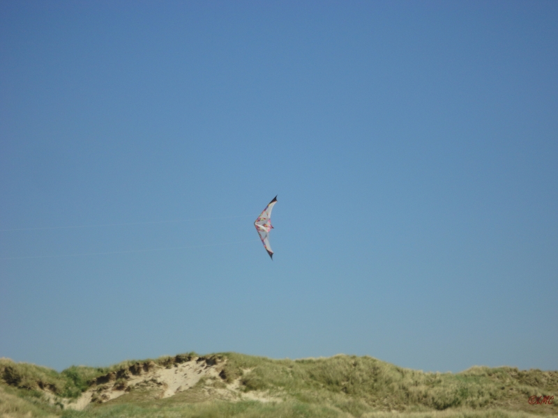 Fanoe_2013_075