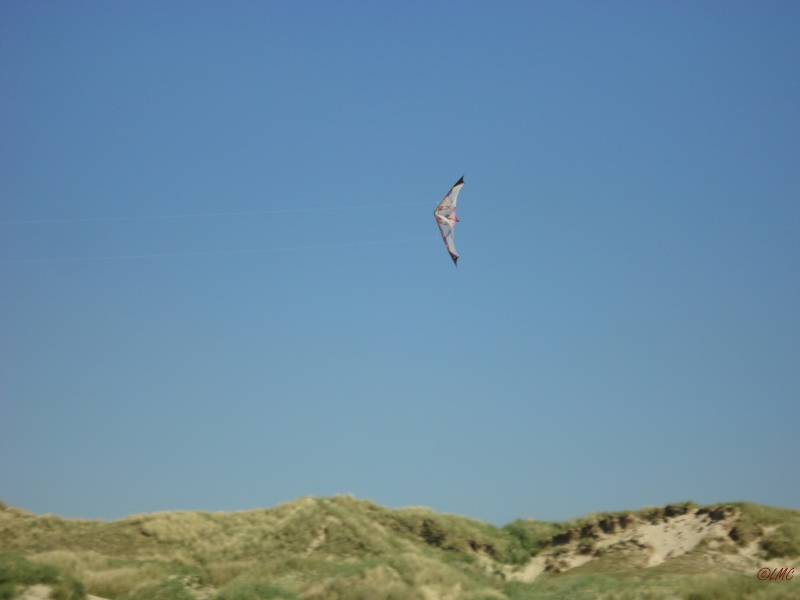 Fanoe_2013_076
