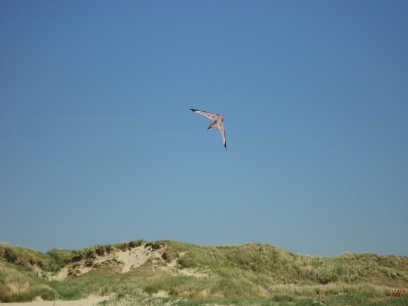 Fanoe_2013_078