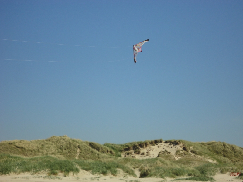 Fanoe_2013_080
