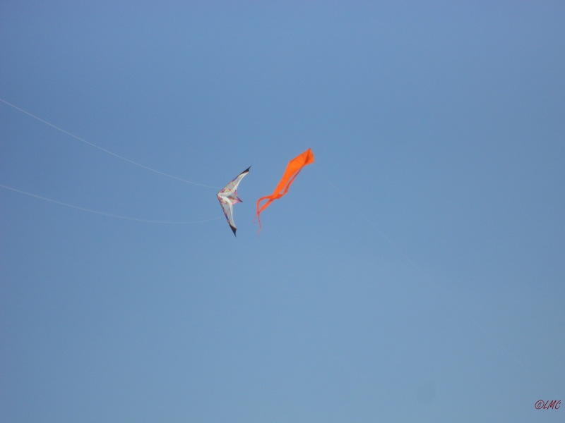 Fanoe_2013_081